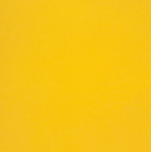 Meet your Posher, Meagan